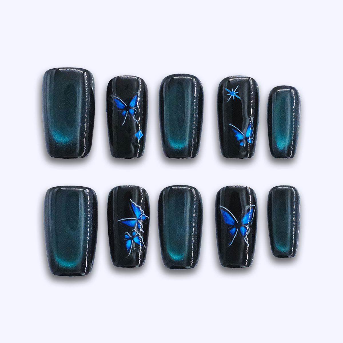 Midnight Morpho